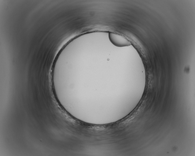 X0000096731190200803041216