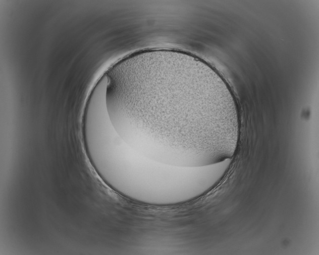 X0000096731191200803041216