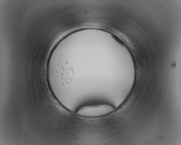 X0000096731192200803041216