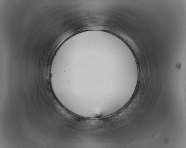 X0000096731193200803041216