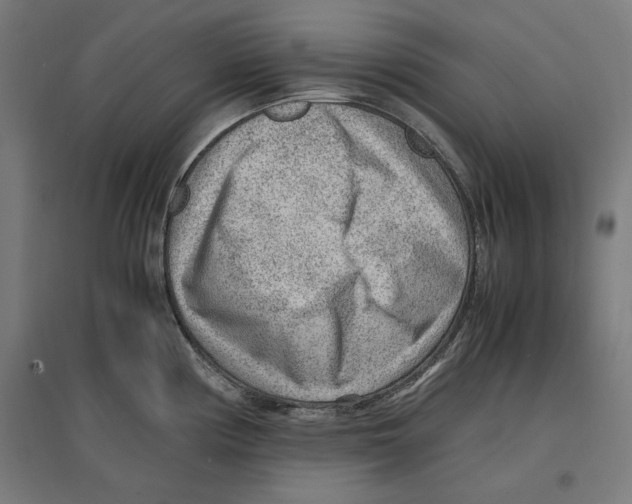 X0000096731194200803041216