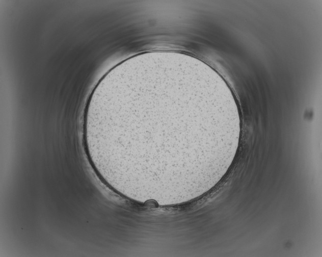 X0000096731195200803041216