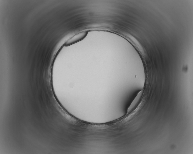 X0000096731196200803041216