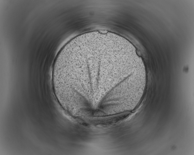 X0000096731198200803041216