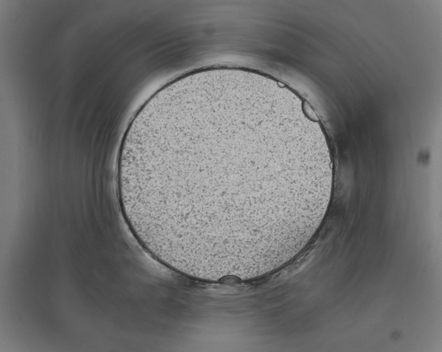 X0000096731199200803041216