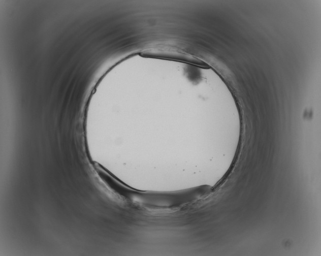 X0000096731200200803041216