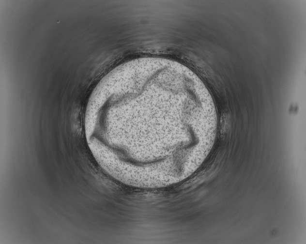 X0000096731202200803041215