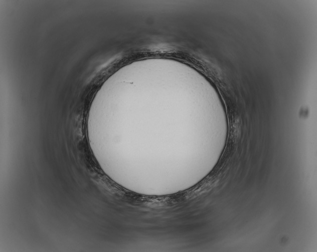 X0000096731205200803041215