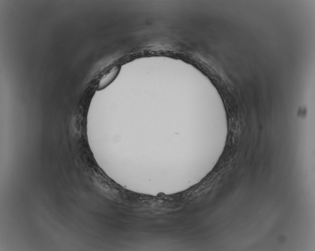 X0000096731207200803041215