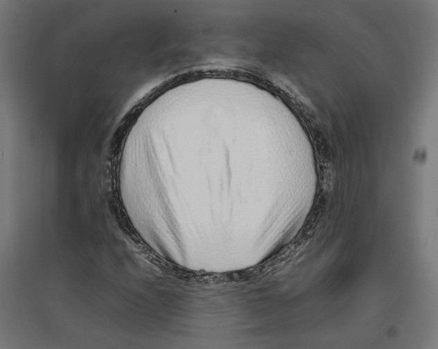 X0000096731208200803041215