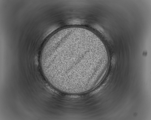 X0000096731209200803041215