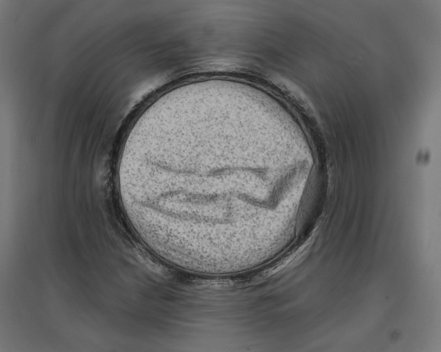 X0000096731210200803041215