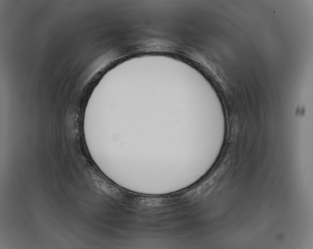 X0000096731211200803041215