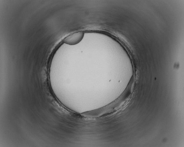 X0000096731212200803041215
