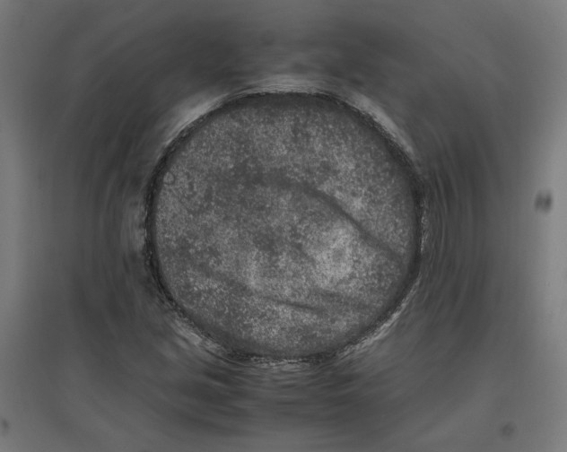 X0000096731213200803041215