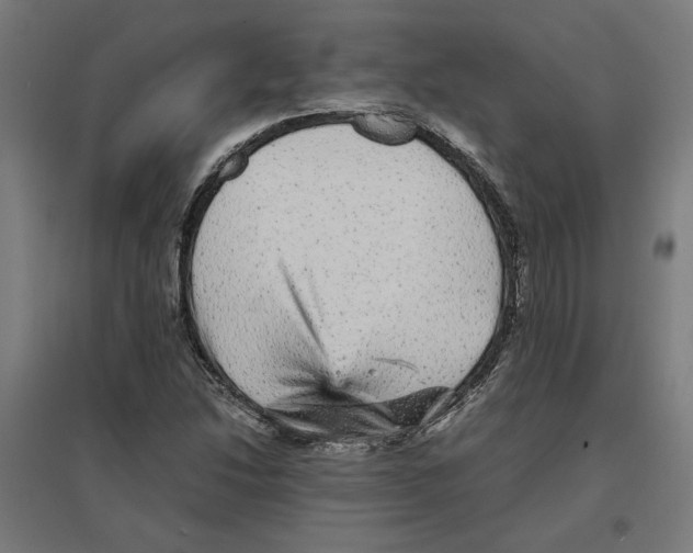 X0000096731214200803041215