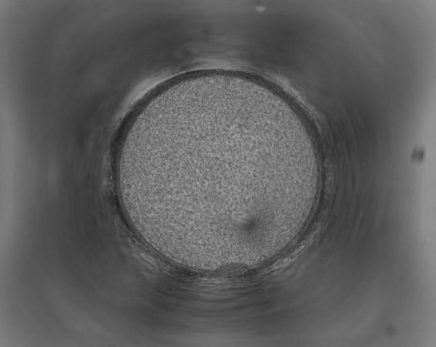 X0000096731215200803041215