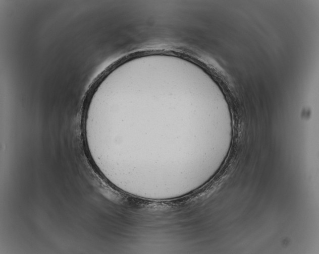 X0000096731216200803041216