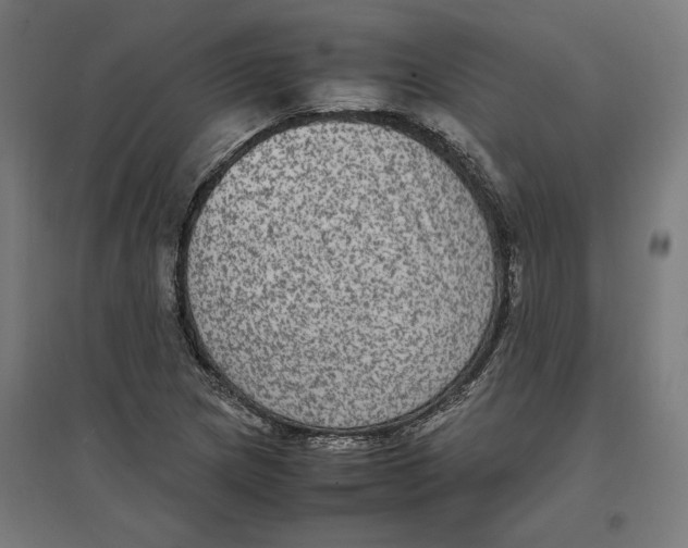 X0000096731217200803041216