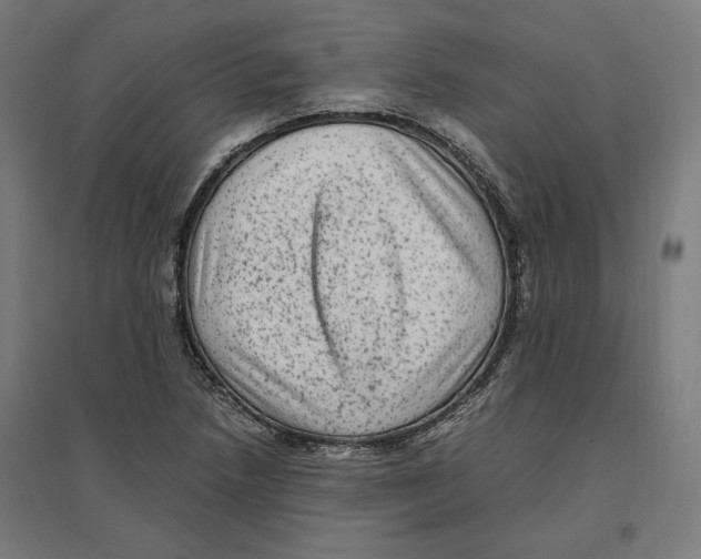X0000096731218200803041216