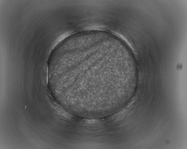 X0000096731219200803041216