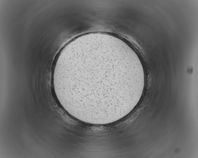 X0000096731220200803041216