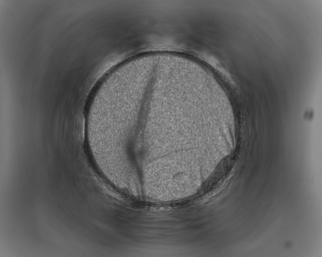 X0000096731221200803041216