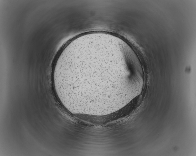 X0000096731222200803041216