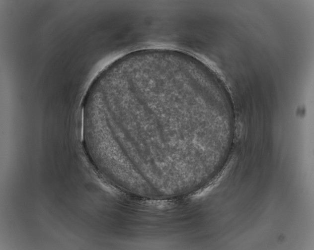 X0000096731223200803041216