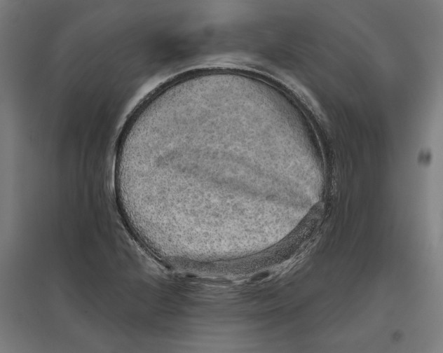X0000096731224200803041216