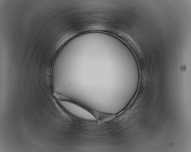 X0000096731225200803041216