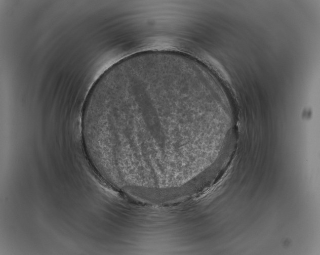 X0000096731226200803041216