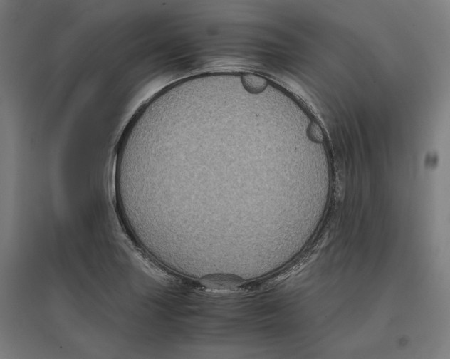 X0000096731227200803041216