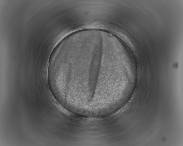 X0000096731228200803041216