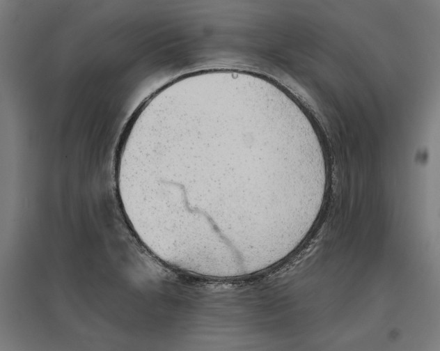 X0000096731230200803041216