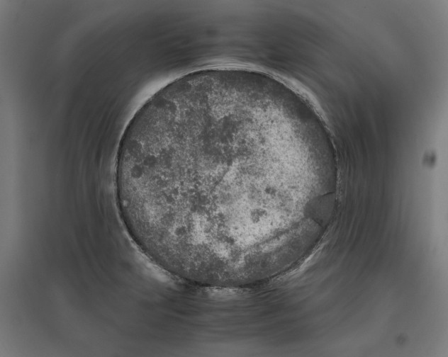 X0000096731231200803041216