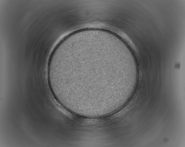 X0000096731232200803041216