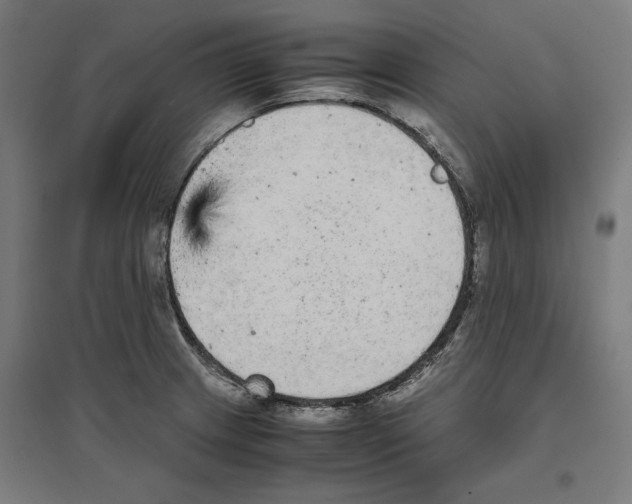 X0000096731233200803041216