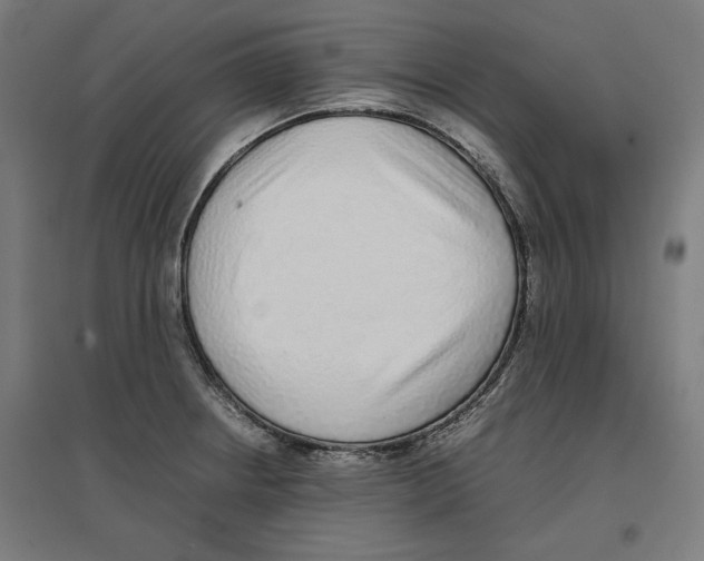 X0000096731234200803041216
