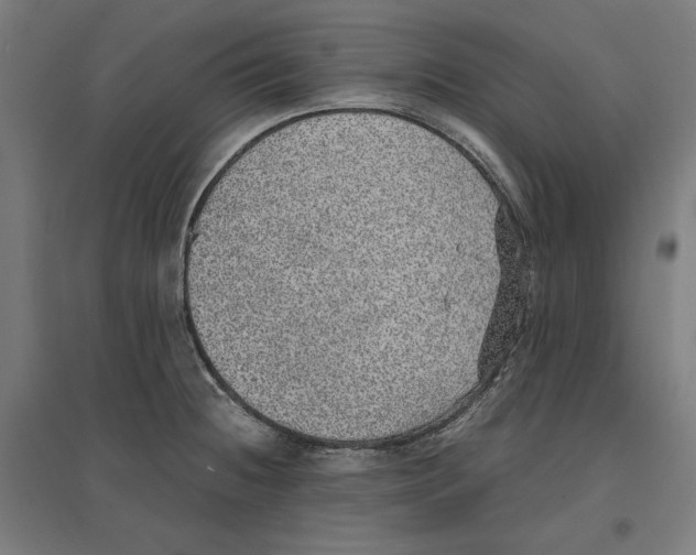 X0000096731236200803041216