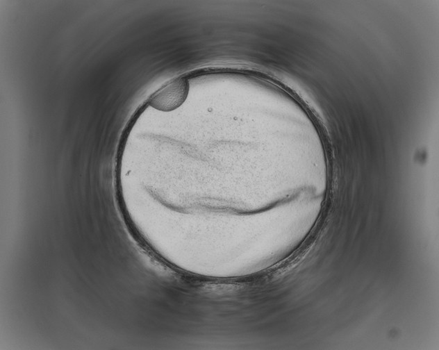 X0000096731237200803041216