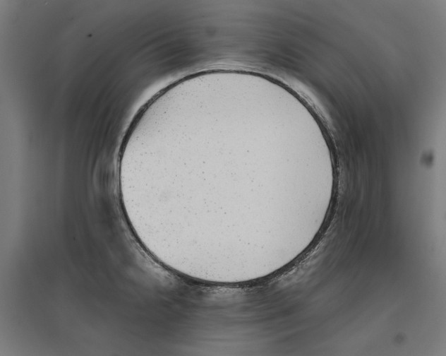 X0000096731238200803041216