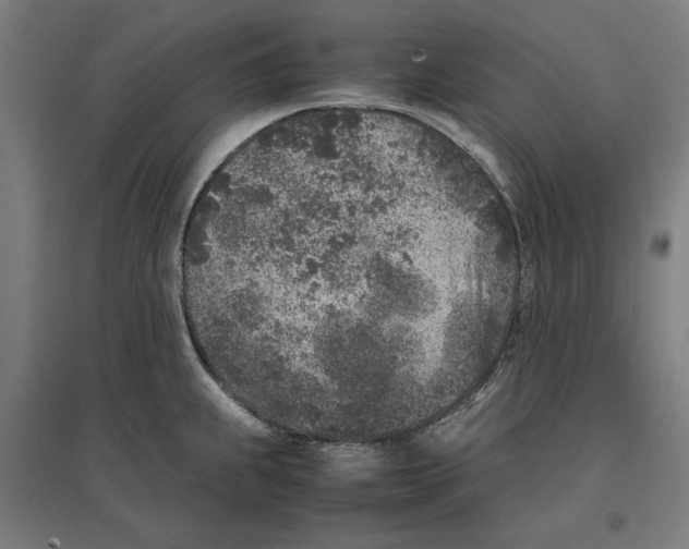 X0000096731239200803041216