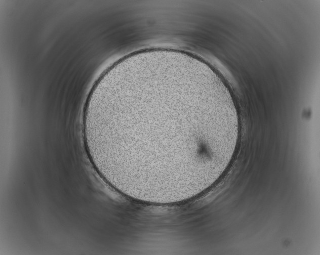 X0000096731240200803041216