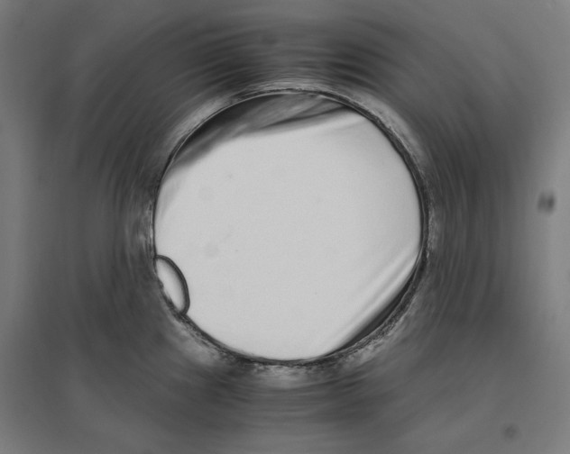X0000096731241200803041216