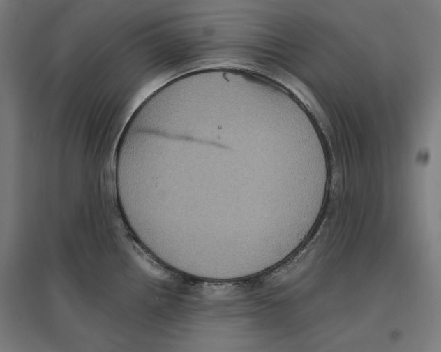 X0000096731242200803041216