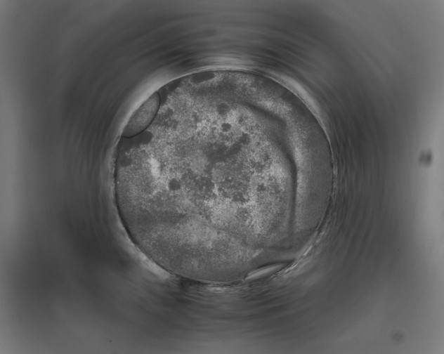 X0000096731243200803041216
