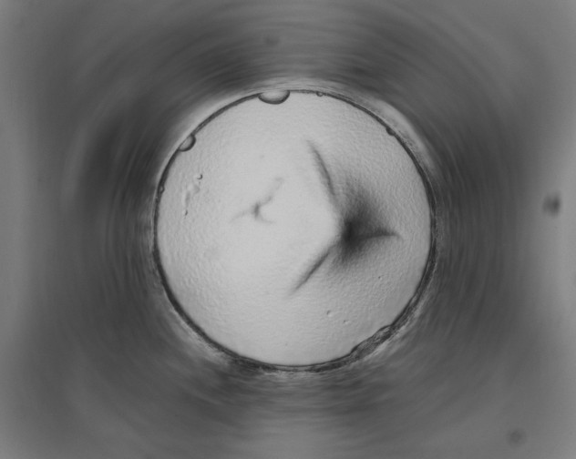 X0000096731244200803041216