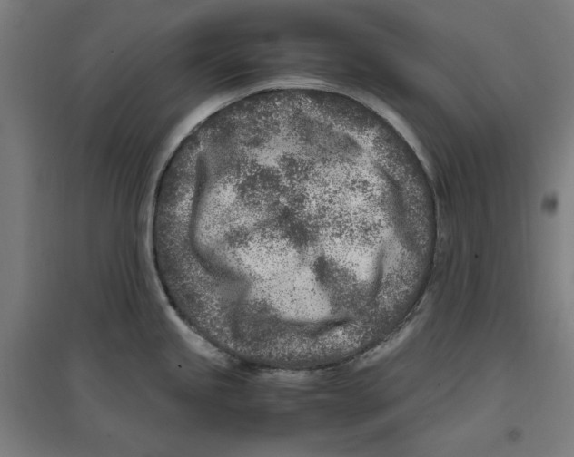 X0000096731245200803041216