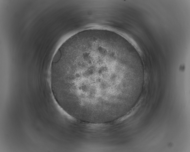 X0000096731247200803041216